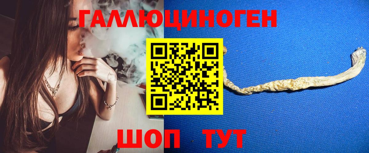 Галлюциногенные грибы GOLDEN TEACHER Евпатория