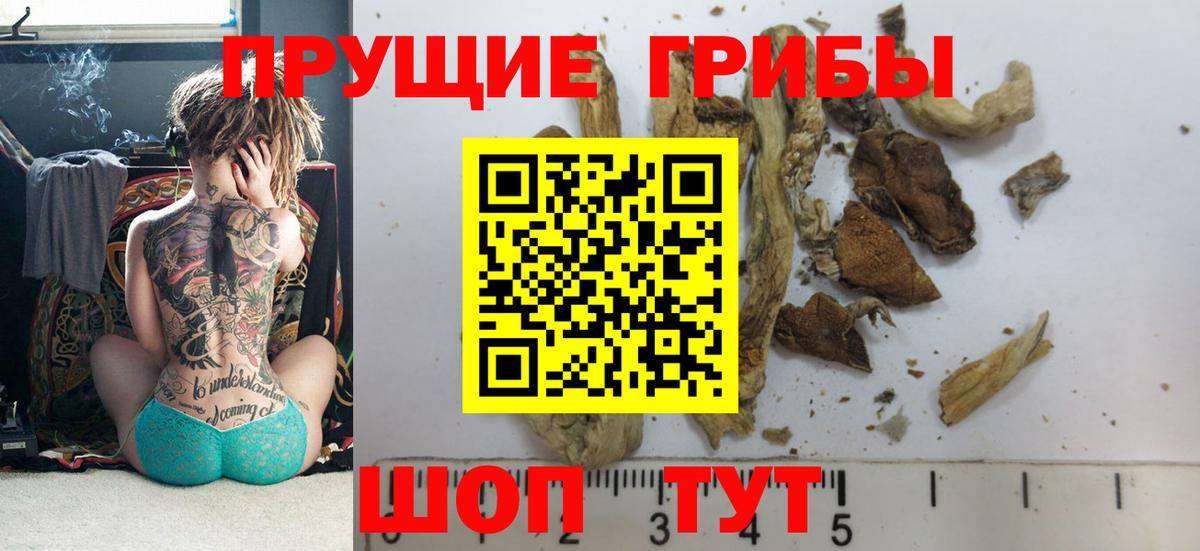 Евпатория  Псилоцибиновые грибы Magic Shrooms  купить   Вход с VPN 